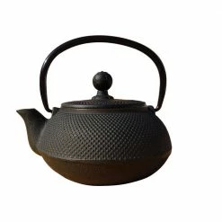20 oz. Cast Iron Sapporo Teapot in Matte Black by Old Dutch