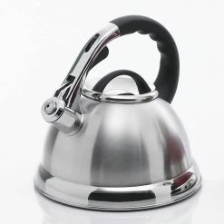 Camille 12-Cup Stovetop Tea Kettle in Silver by Creative Home